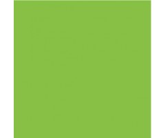 Kartong värviline Folia A4, 300g/m² - 50 lehte - kevadroheline